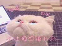 扬州兴鼎餐饮服务有限公司