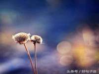 扬州兴鼎餐饮服务有限公司