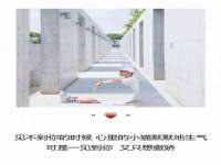 扬州兴鼎餐饮服务有限公司