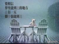 扬州兴鼎餐饮服务有限公司