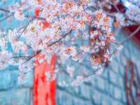 扬州兴鼎餐饮服务有限公司