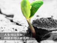扬州兴鼎餐饮服务有限公司