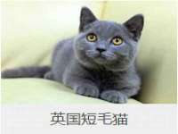 扬州兴鼎餐饮服务有限公司