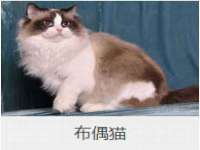 扬州兴鼎餐饮服务有限公司