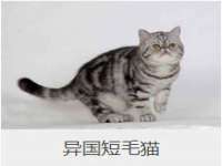 扬州兴鼎餐饮服务有限公司
