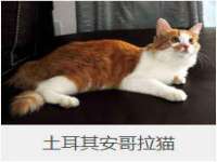 扬州兴鼎餐饮服务有限公司