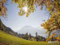 扬州兴鼎餐饮服务有限公司