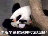 扬州兴鼎餐饮服务有限公司