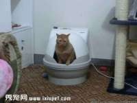 扬州兴鼎餐饮服务有限公司