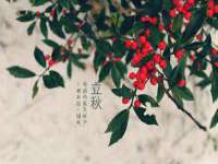 扬州兴鼎餐饮服务有限公司