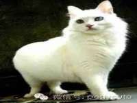 扬州兴鼎餐饮服务有限公司