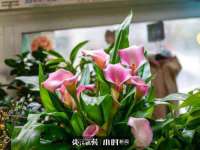 扬州兴鼎餐饮服务有限公司