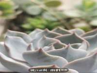 扬州兴鼎餐饮服务有限公司