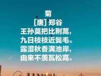 扬州兴鼎餐饮服务有限公司