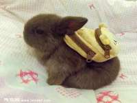 扬州兴鼎餐饮服务有限公司