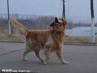 扬州兴鼎餐饮服务有限公司