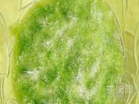 扬州兴鼎餐饮服务有限公司