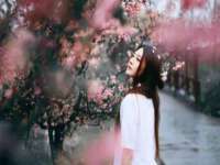 扬州兴鼎餐饮服务有限公司